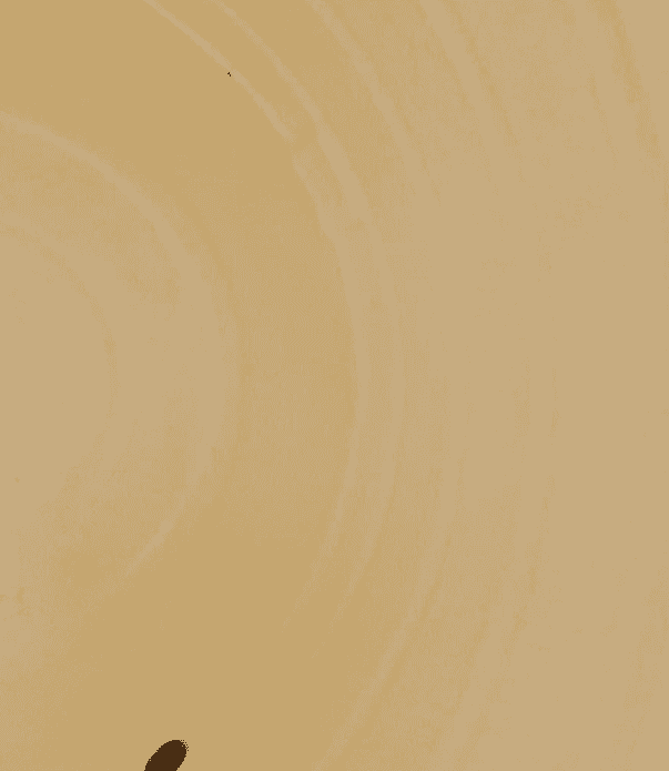غسيل وتصليح خزانات المياه