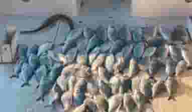رحلات بحرية رائعة