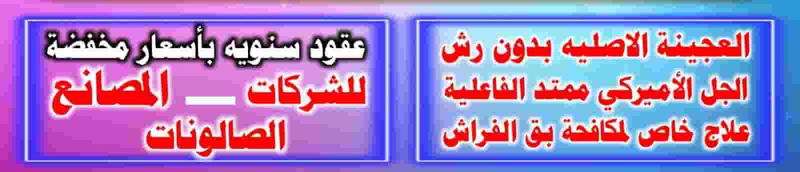 شركة رش حشرات  