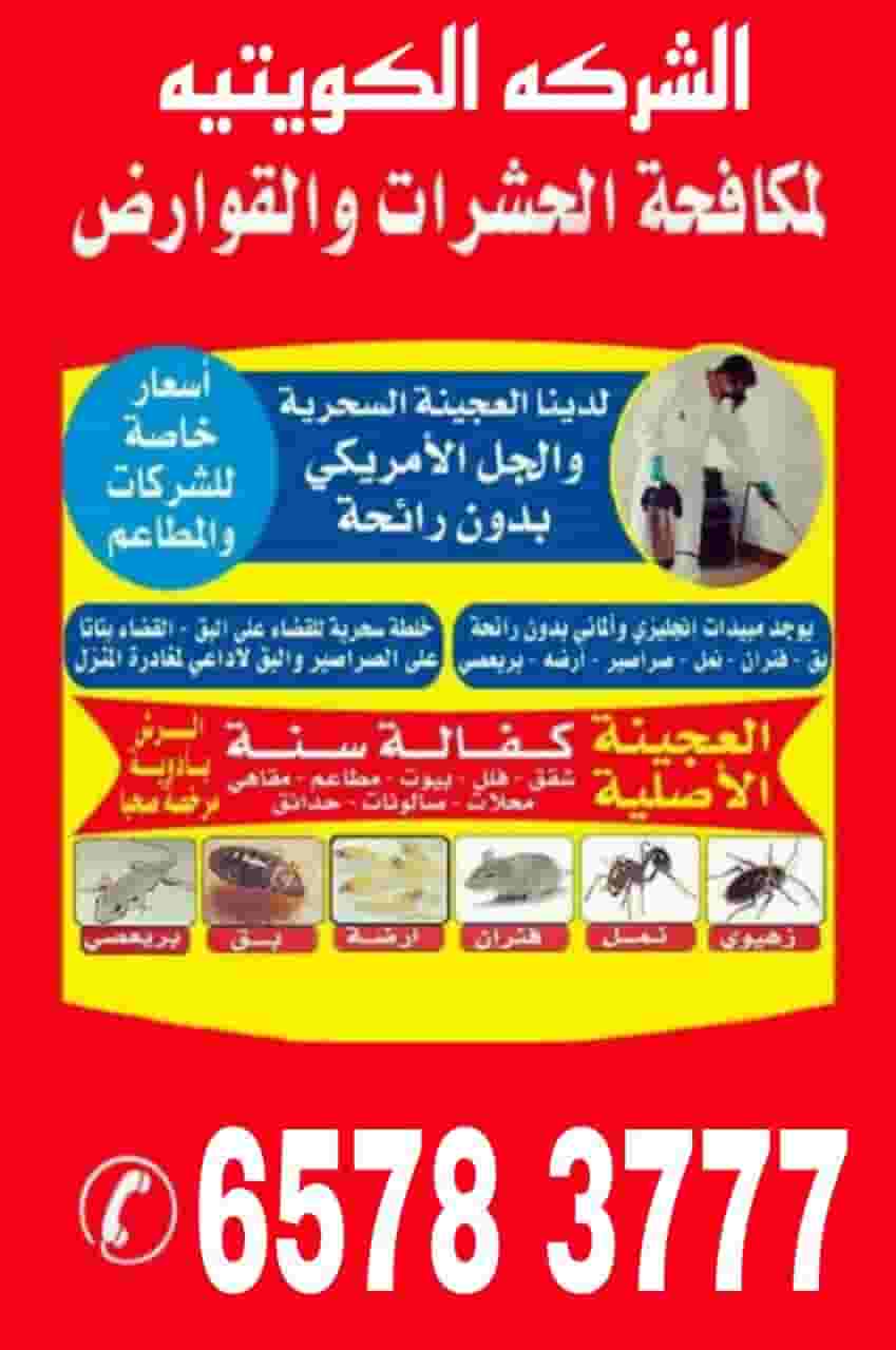 مکفحت حشرات 