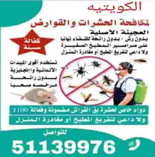 مکافحة الحشرات والقوارض