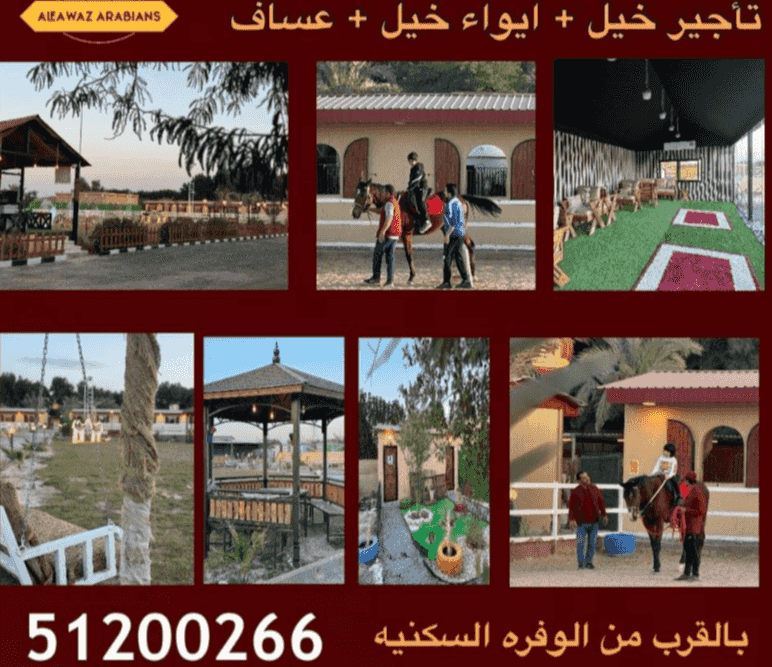 مدرسة ركوب خيل