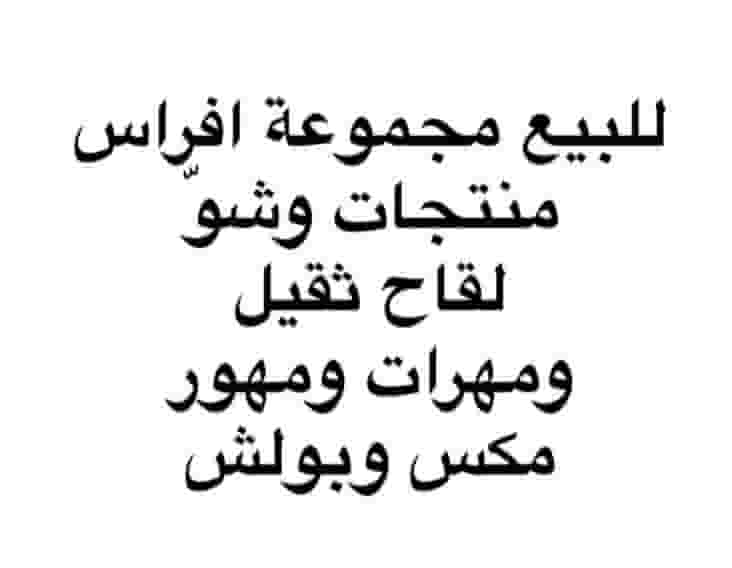 للبيع افراس