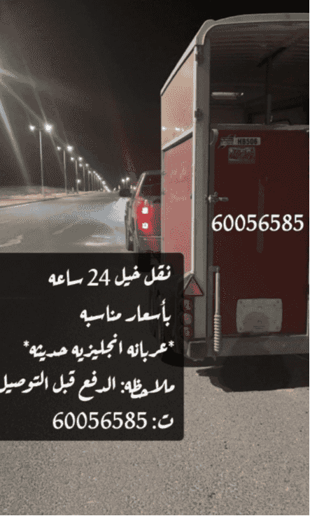 نقل خيل 24 ساعه