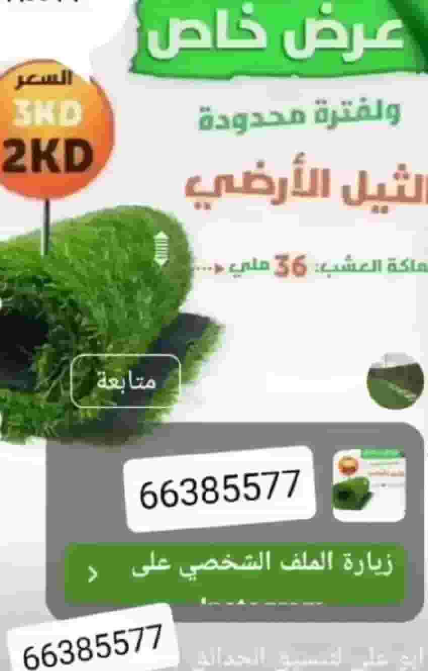 تنسيق حدائق أبو علي