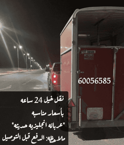 نقل خيل 24 ساعه
