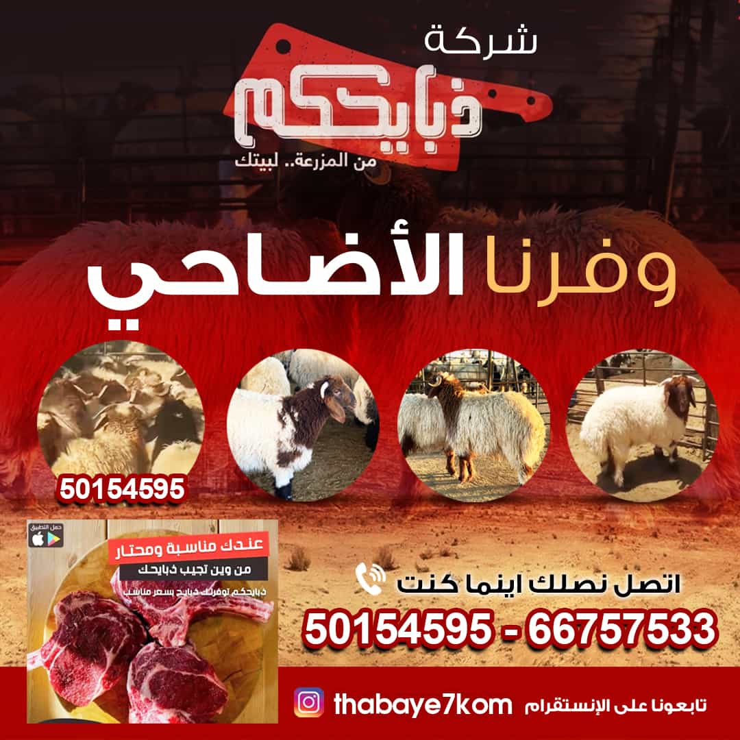 شركة ذبايحكم 