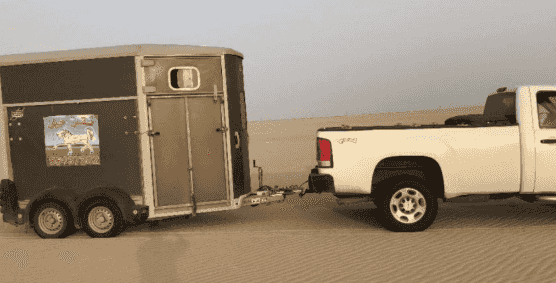 نقل خيل جميع مناطق الكويت نقل خيل جميع مناطق الكويت