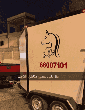 نقل خيل لجميع مناطق الكويت نقل خيل لجميع مناطق الكويت