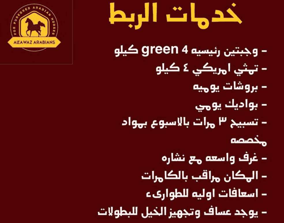 مدرسة ركوب خيل مدرسة ركوب خيل