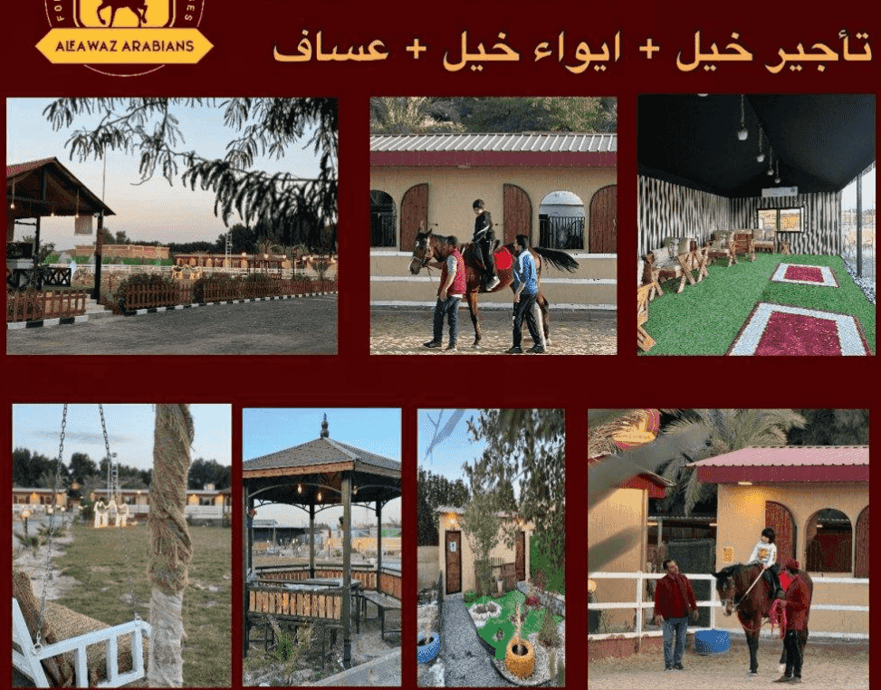 ايواء الخيل ايواء الخيل